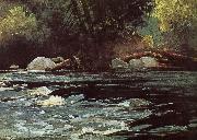 Hudson River Rapids Winslow Homer